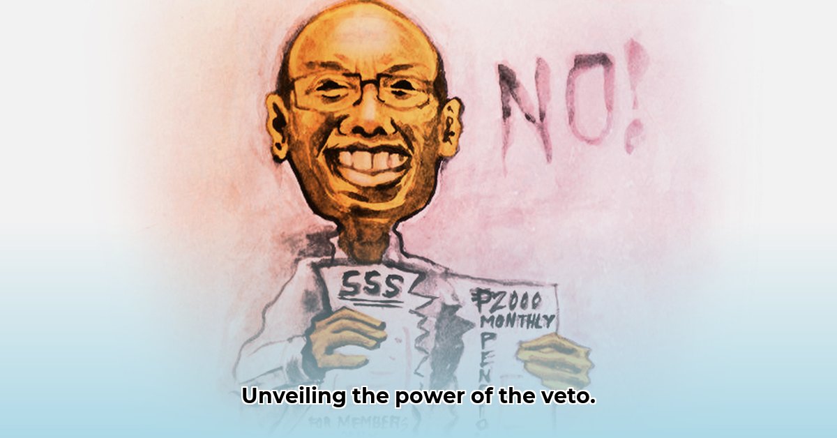 vetoed-meaning